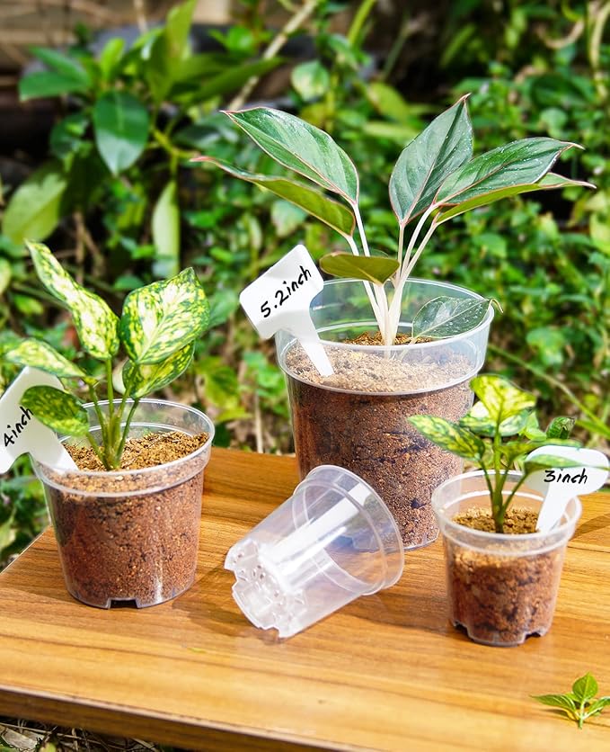 homenote Clear Nursery Pots for Plants, 4 Inch Plant Pot for Planting Plastic - Image 3