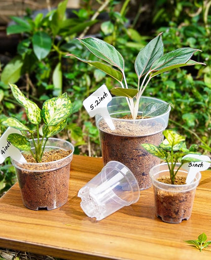 homenote Clear Nursery Pots for Plants, 4 Inch Plant Pot for Planting Plastic - Image 3