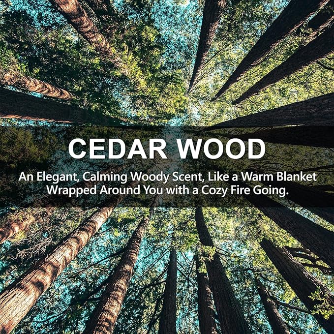 ROSE COTTAGE Large 12 Packs Cedar Wood Hanging Closet Deodorizer Air Freshener - Image 2