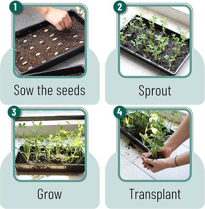 Mr. Pen- Plastic Growing Trays, 10 Pack, Plant Tray, Seed Tray, Seedling Tray - Image 7