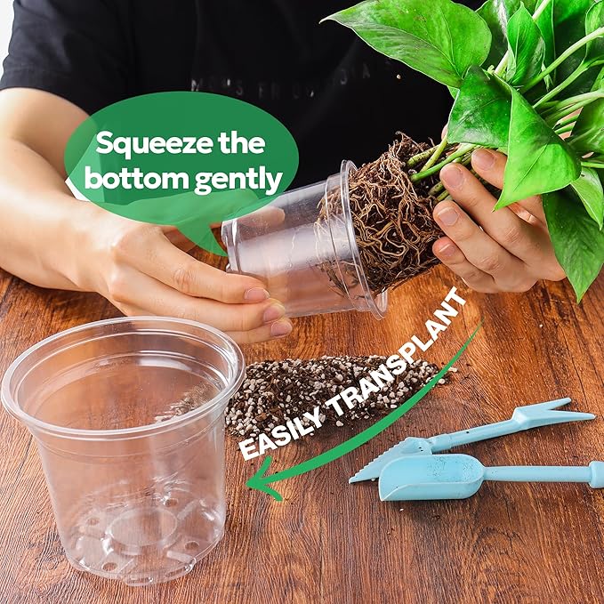 60 Packs 3.5 Inch Reinforced Clear Nursery Pots - Image 5