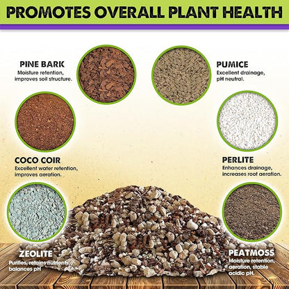DUSPRO Recycle Premium 6in1 Terrarium Soil Mix – Pre-Mixed Terrarium Substrate - Image 2
