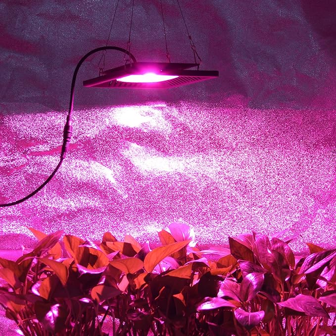 Waterproof 100W LED Grow Light Full Spectrum, New Technology COB LED Grow Light - Image 7