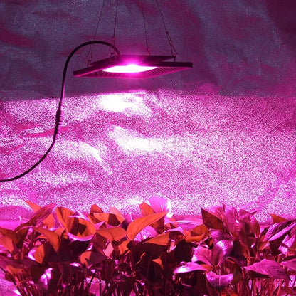 Waterproof 100W LED Grow Light Full Spectrum, New Technology COB LED Grow Light - Image 7