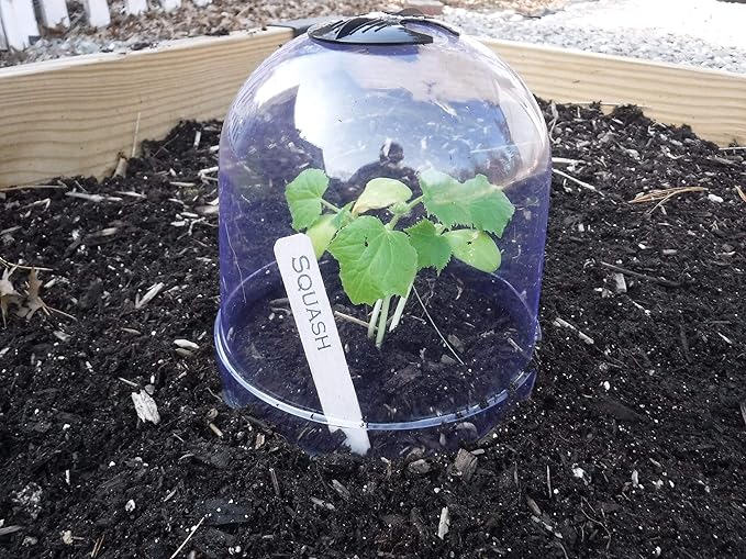 6-Pack! GrowAway Medium Reusable Plastic Mini Greenhouse, Cloche Dome, Plant - Image 2