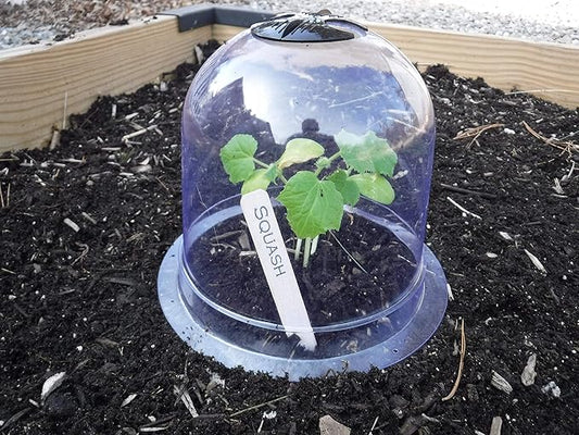6-Pack! GrowAway Small Reusable Plastic Mini Greenhouse, Garden Cloche Dome by Gardinnovations