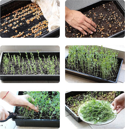 Mr. Pen- Plastic Growing Trays, Plant Tray, Seed Tray, Seedling Tray, - Image 8