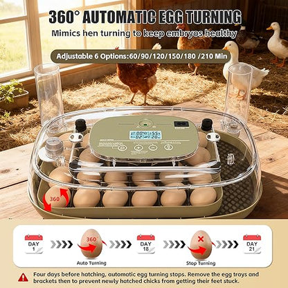 Incubators for Hatching Eggs, 24 Egg Incubator - Image 3