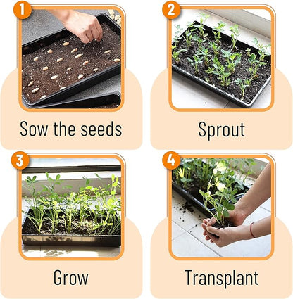 Mr. Pen- Plastic Growing Trays, Plant Tray, Seed Tray, Seedling Tray, - Image 7