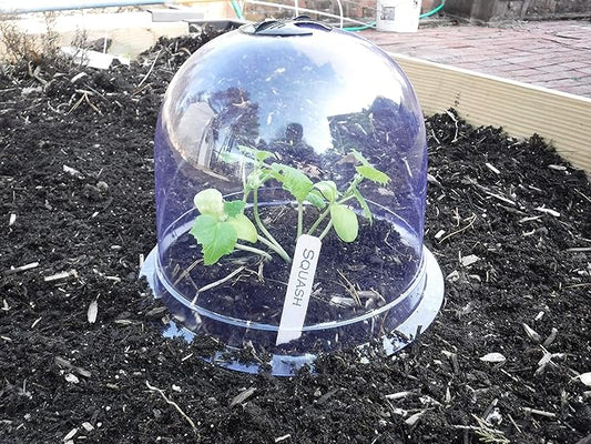 6-Pack! GrowAway Medium Reusable Plastic Mini Greenhouse, Cloche Dome, Plant by Gardinnovations