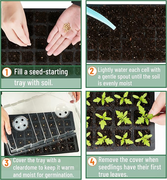 Mr. Pen- Seed Starter Tray Kits, 10 Pack, Total 400 Cells, Durable Plant - Image 5