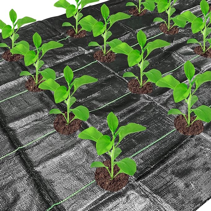 codree 13 x 4 Ft Garden Weed Barrier Landscape Fabric by codree